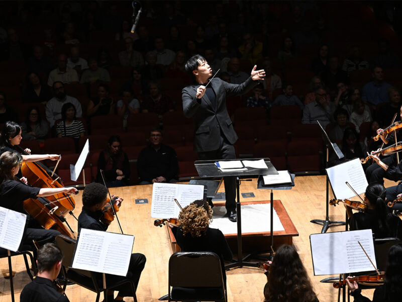 Beyond the Forest, Into the Sky