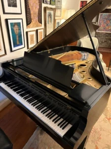 President, Mark Patrick's grand piano hit by lightning